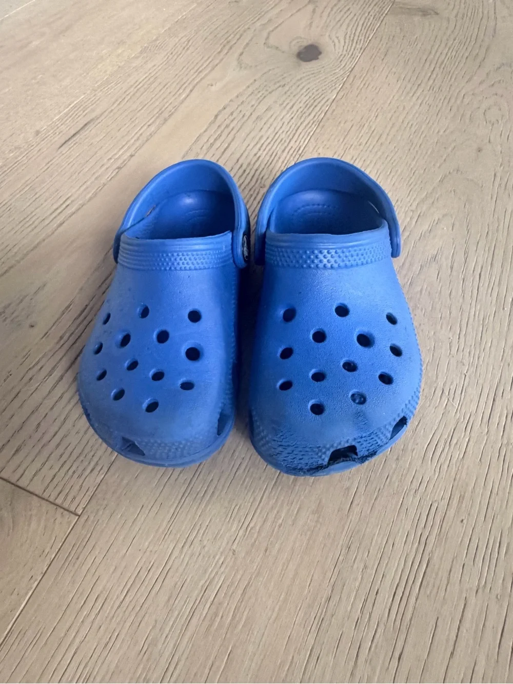 CROCS Kids Royal Blue Classic Clogs